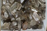 Lot: Lbs Smoky Quartz Crystals (-) - #77840-2